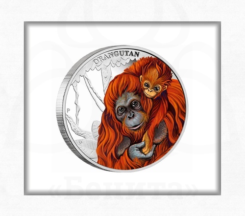 Монета "Орангутан" номиналом 50 центов 2014 г. Тувалу купить в салоне Бенита