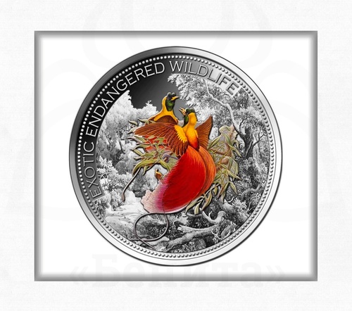 Монета "Райские птицы" номиналом 20 долларов 2012 г. Фиджи купить в салоне Бенита
