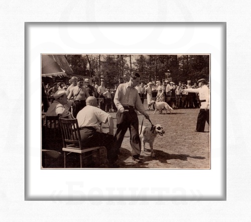 Фотография "XXV Юбилейная Московская выставка охоты и охотничьего собаководства" 1950 г. купить в салоне Бенита