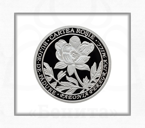 Серебряная монета "Пион иноземный" номиналом 50 леев 2014 г. Молдова купить в салоне Бенита