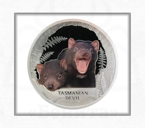 Серебряная монета "Тасманийский дьявол" номиналом 1 доллар 2013 г. Тувалу купить в салоне Бенита
